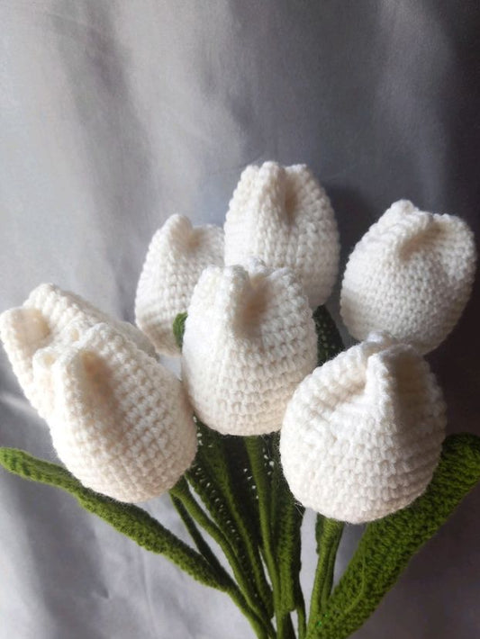 Crochet Tulips From Amsterdam 🌷